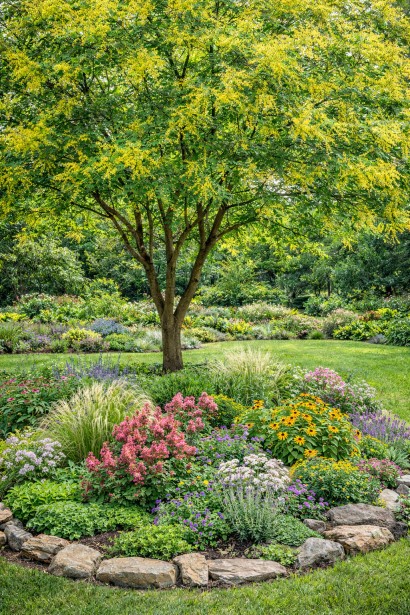 Дерево-ліхтарик в ландшафті